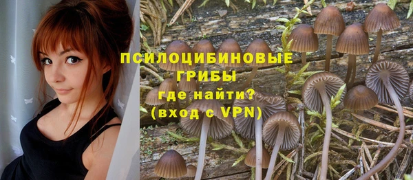 прущие грибы Алзамай