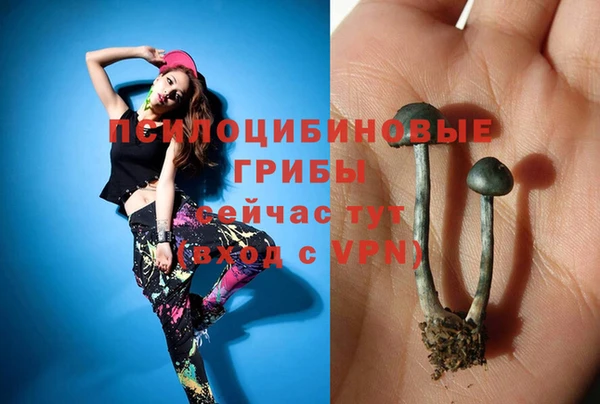 прущие крисы Абдулино