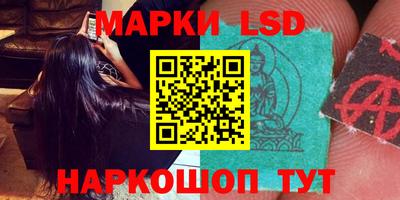 стаф Донецк