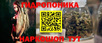 мяу мяу мука Донской