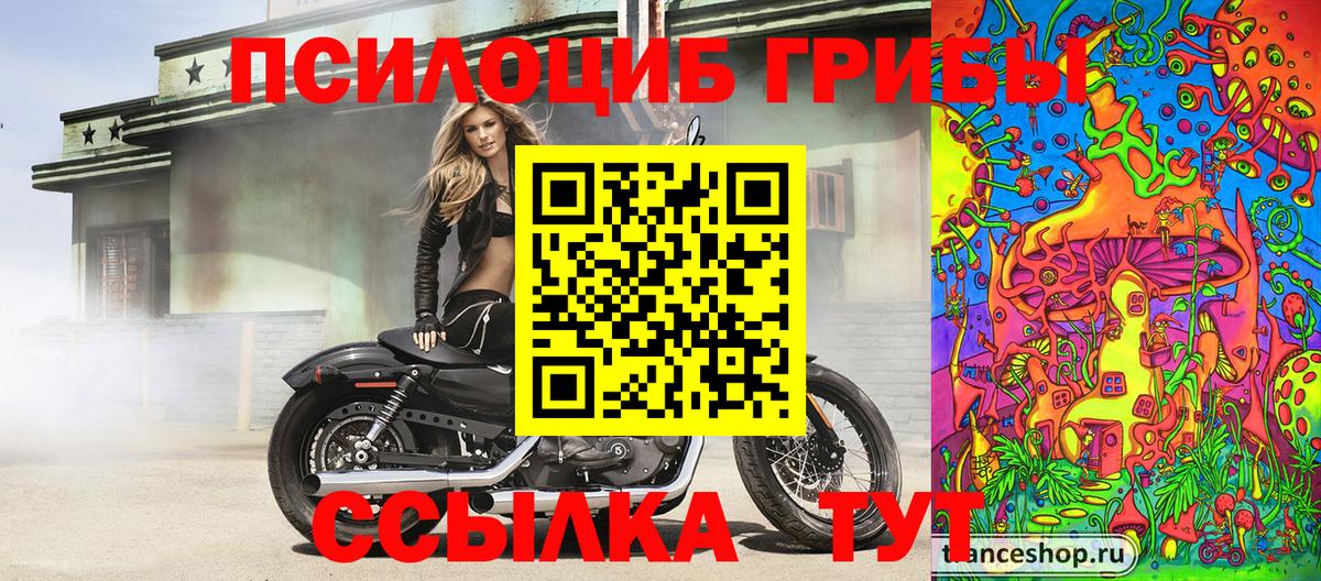 Галлюциногенные грибы мицелий Мыски